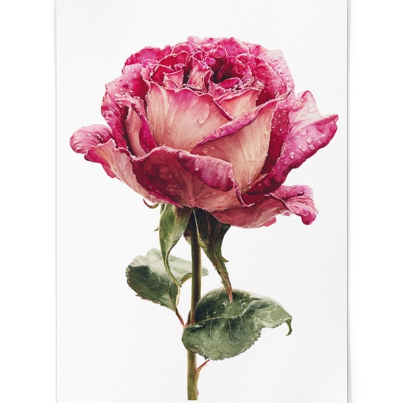 Watercolor Single Pink Rose Wall Art Print, Unframed - Delicate Floral Elegance - Picture 2 of 6